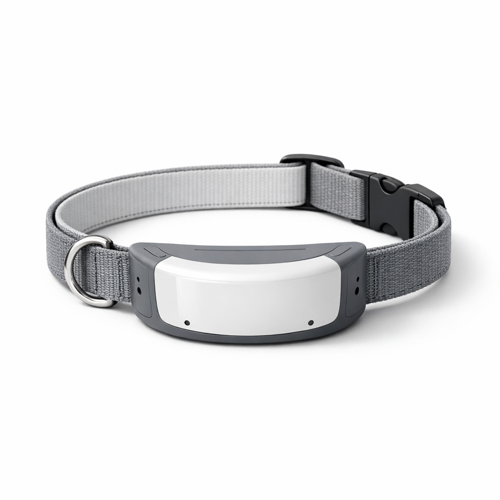 Halo Collar 5