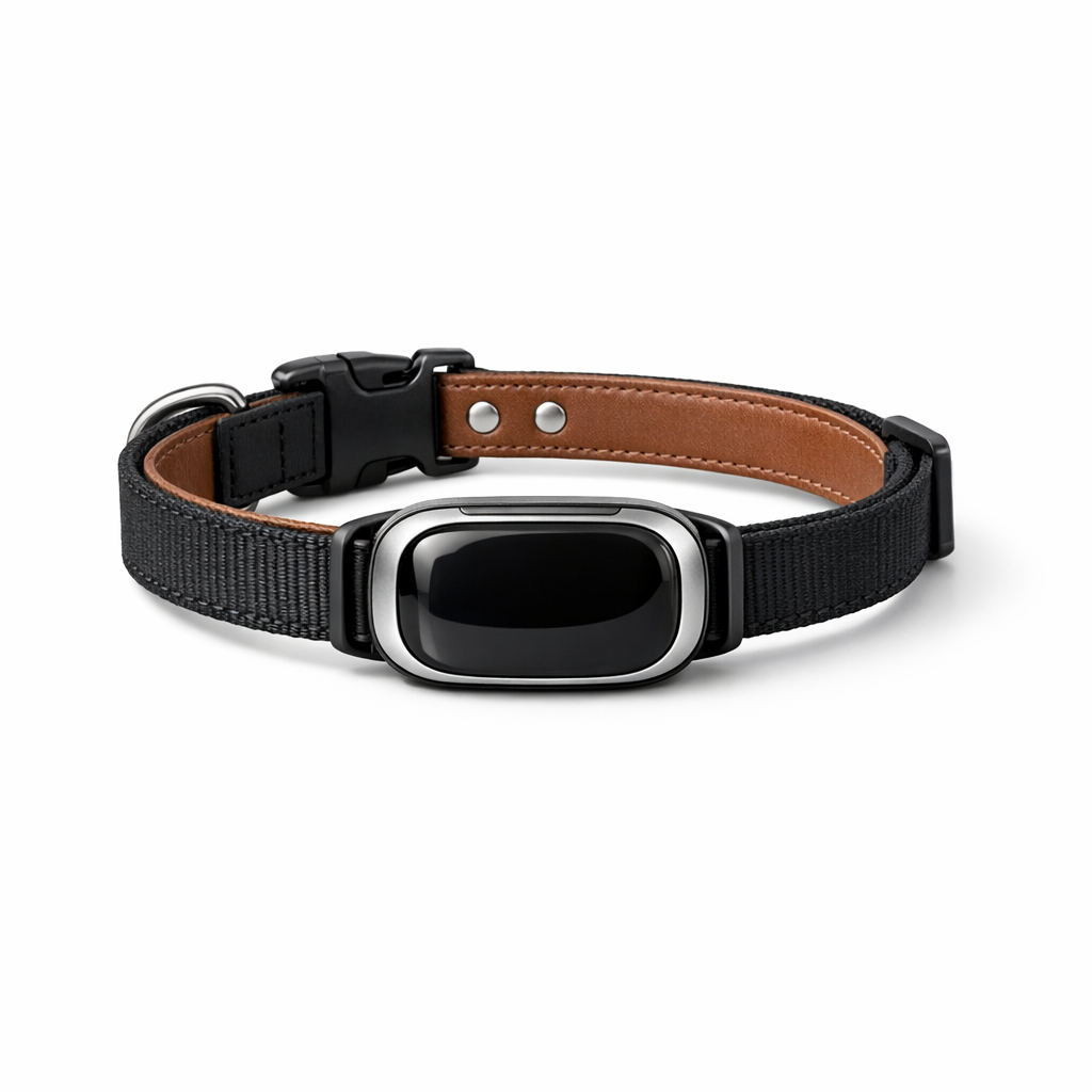 Link AKC Smart Collar